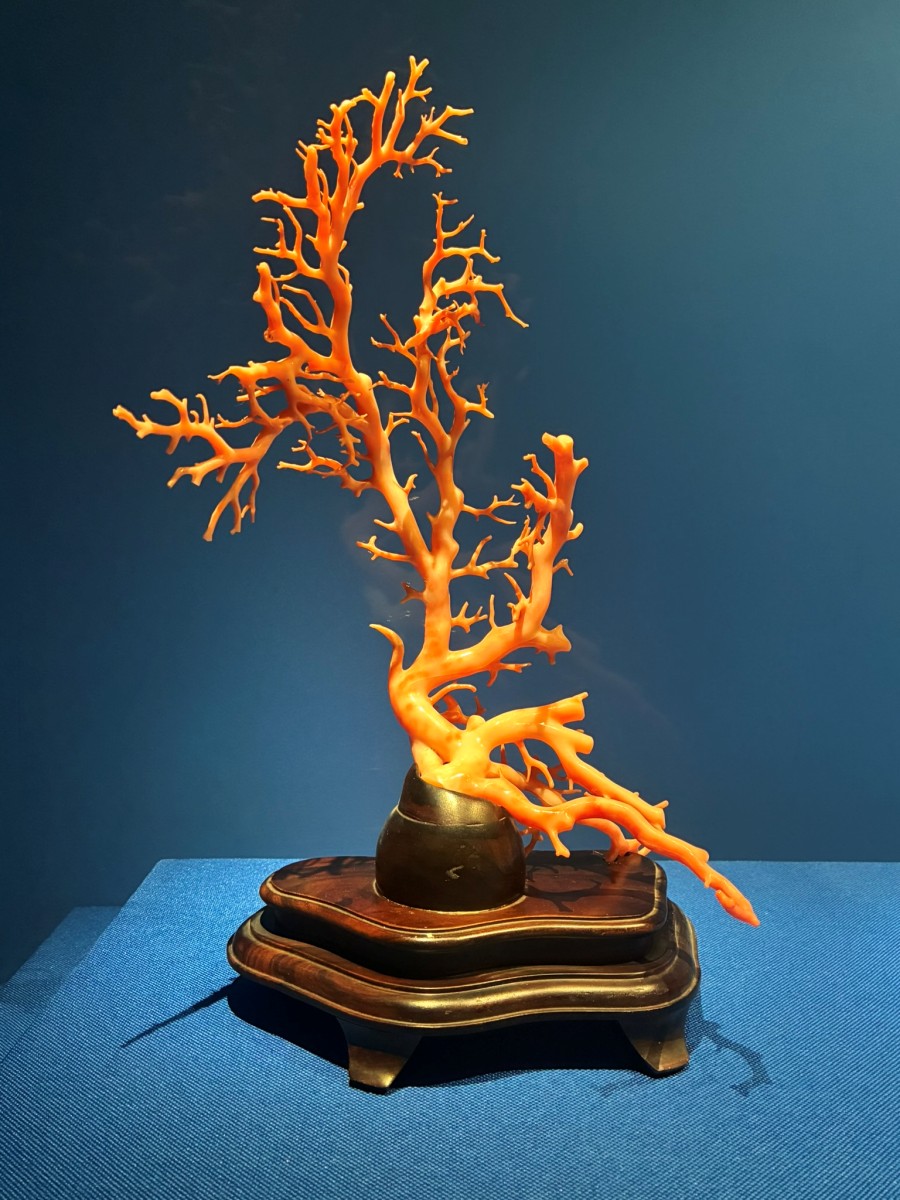 寶石珊瑚：歷史文物與生物保育